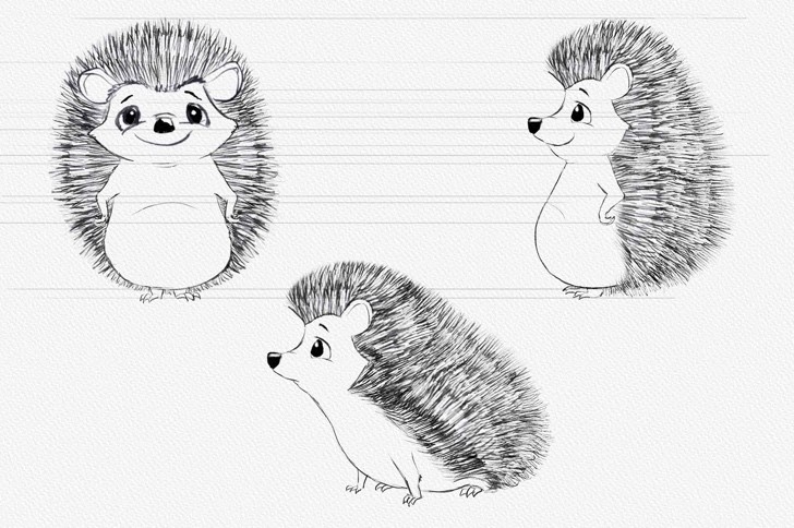 Hedgehog orthographic sketches