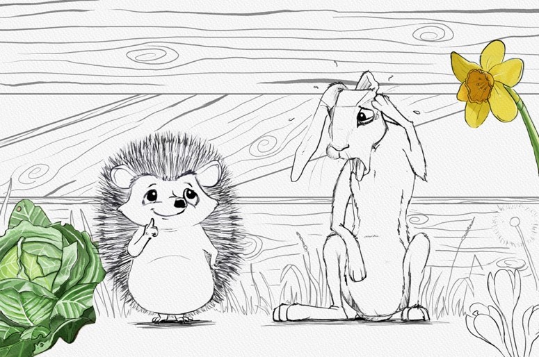 Hedgehog and hare illustration staging step 2